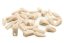 Monomaterial Teeth (Biovoxel Typodont) - Choose tooth: Lower Jaw Set