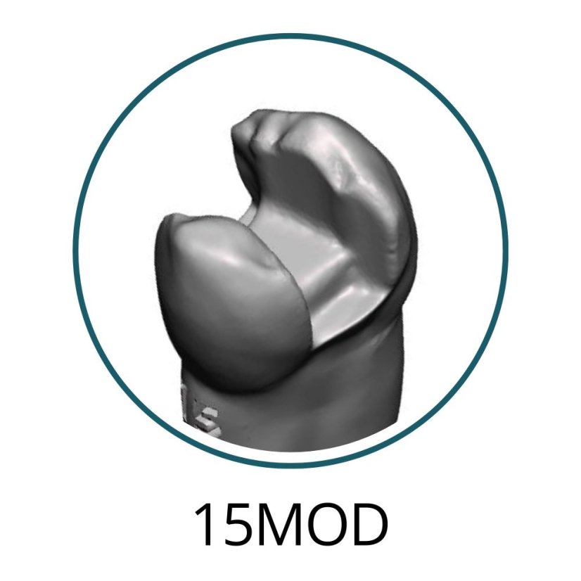 Monomaterial Teeth with Cavities (Biovoxel Typodont) - Elige el diente: 15 Mesio - Occluso - Distal Cavity