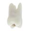 Opaque Endotooth 16 with Occlusal Caries (Biovoxel Typodont)