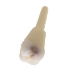 CariesTooth 16 (KaVo Analog)