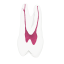 EndoTooth 24 Upper Premolar