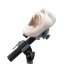 Biovoxel Phantom Head