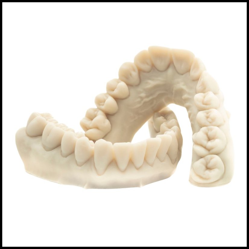 Dental 3D Print - Doručenie: Standard (Delivery within 5 business days)