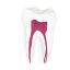 EndoTooth 36 Lower Molar (Less Complex) - Transparencia: Transparente, Acceso al diente: Intacto, no accedido