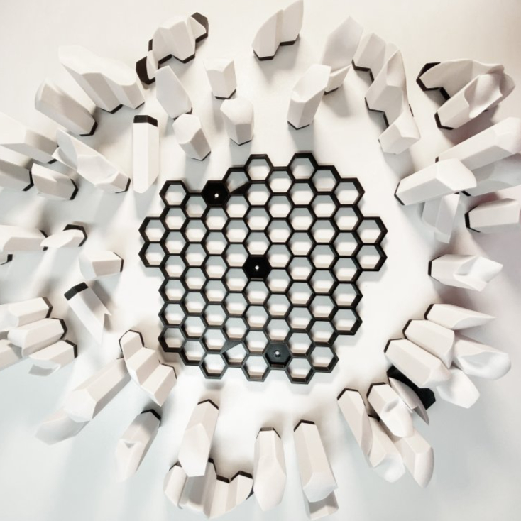 3D Molar Puzzle