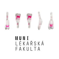LF Brno Package EndoTooth, 4th Year