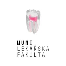 LF Brno EndoTooth, 2nd Year-- exam