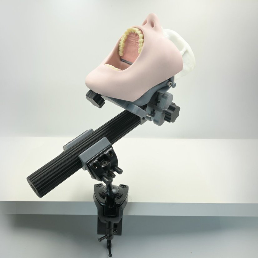 Biovoxel Phantom Head
