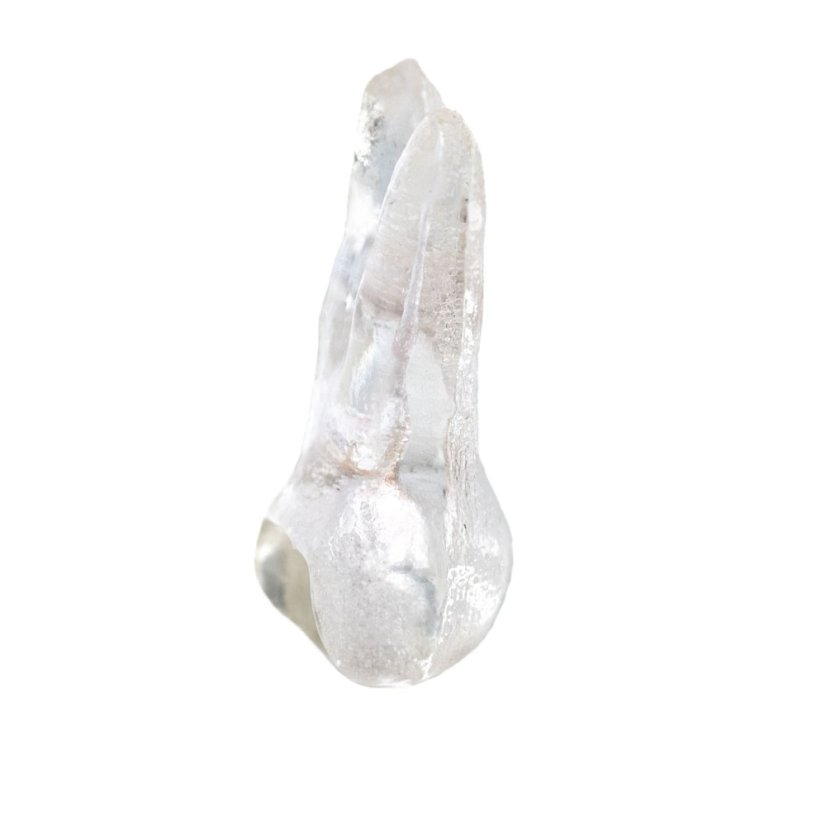 EndoTooth 14 Upper Premolar (Mesio-Occlusal access) - Transparencia: Transparente, Pulpa dental: Sin pulpa
