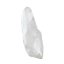 EndoTooth 11 Upper Incisor for Internal Bleach Training (Biovoxel Typodont)
