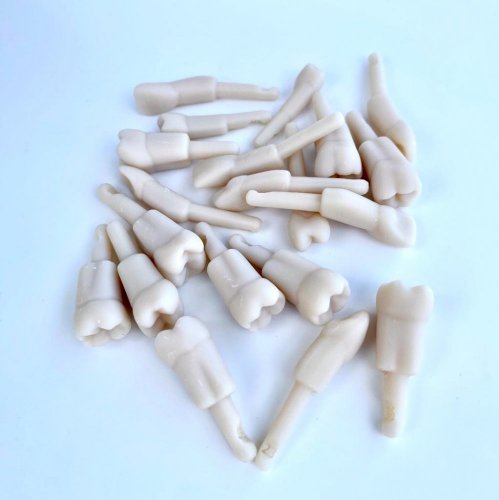 Monomaterial Teeth (Kavo Analog) - Zahn wählen: 25