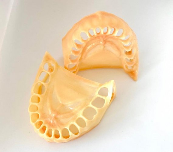 Replacement Gingiva for the Biovoxel Typodont Jaw - Mandíbula: Maxilar superior