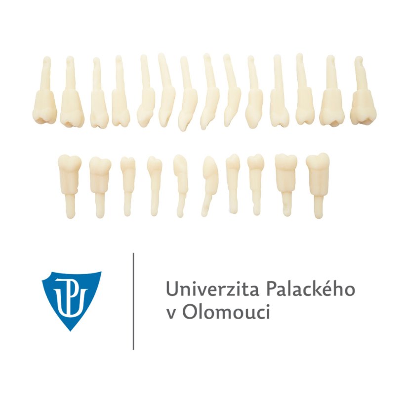 LF UP Olomouc Package