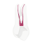 EndoTooth 14 Upper Premolar (Mesio-Occlusal access) - Transparencia: Transparente, Pulpa dental: Sin pulpa