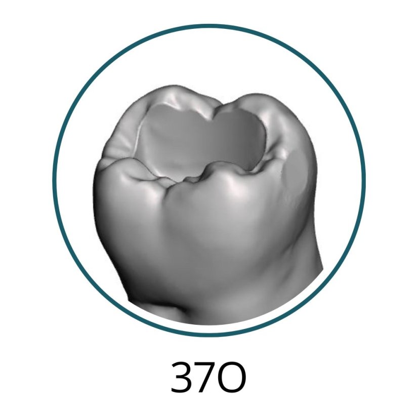 Monomaterial Teeth with Cavities (Biovoxel Typodont) - Zahn wählen: 37 Occlusal Cavity