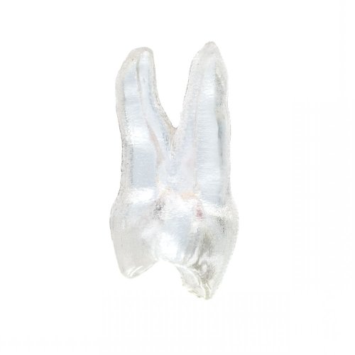 EndoTooth 14 Upper Premolar (Less Complex)- Dentsply Sirona Version