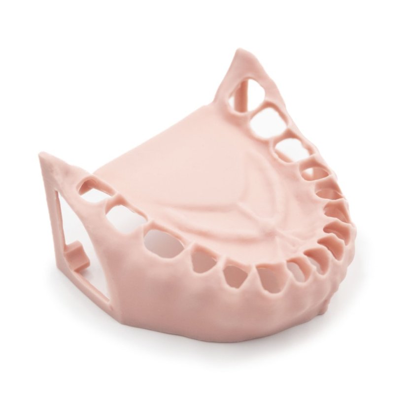 Replacement Gingiva for the Biovoxel Typodont Jaw